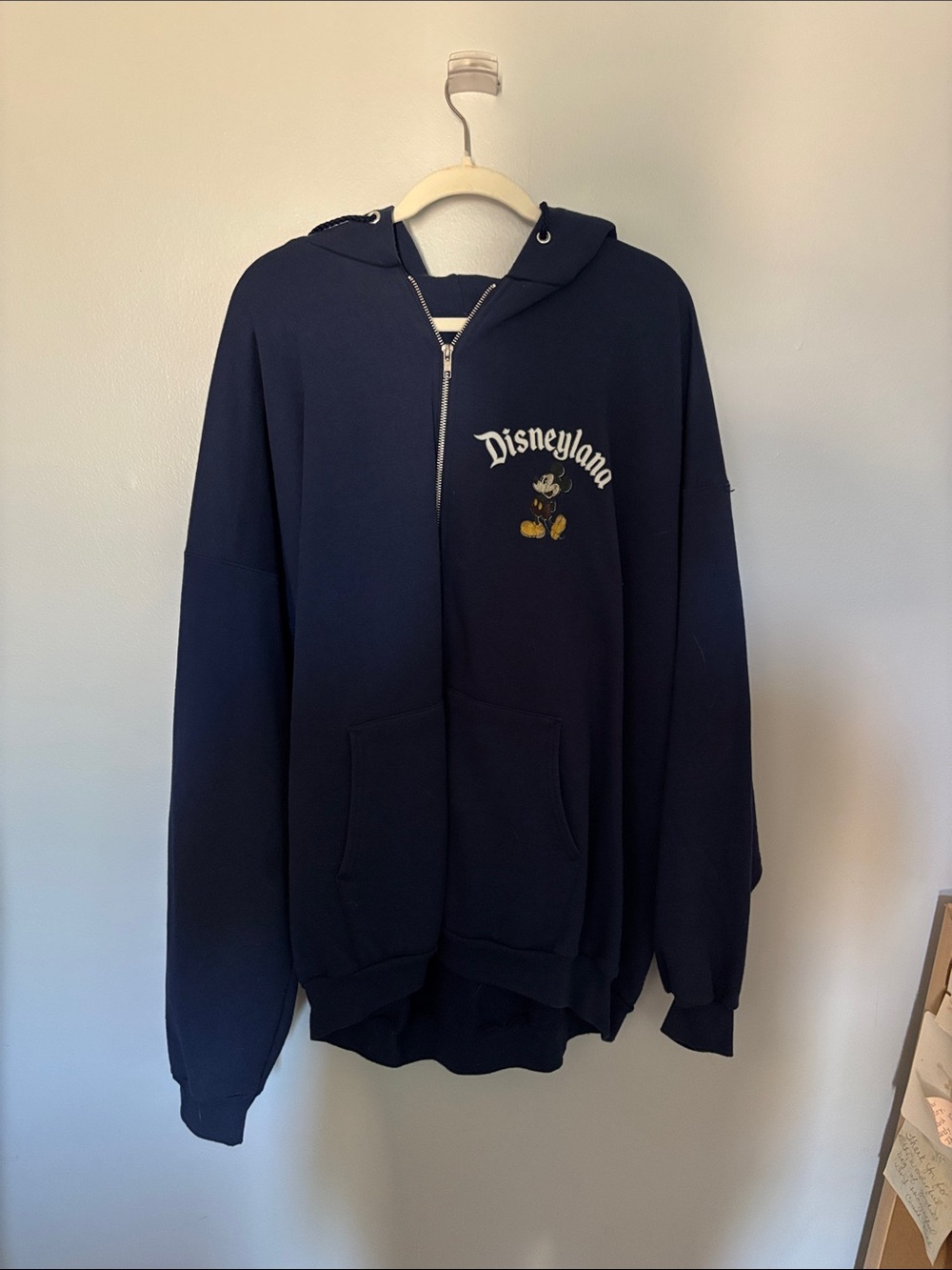 Hanes Navy Disneyland/Walt Disney World Zip Hoodie